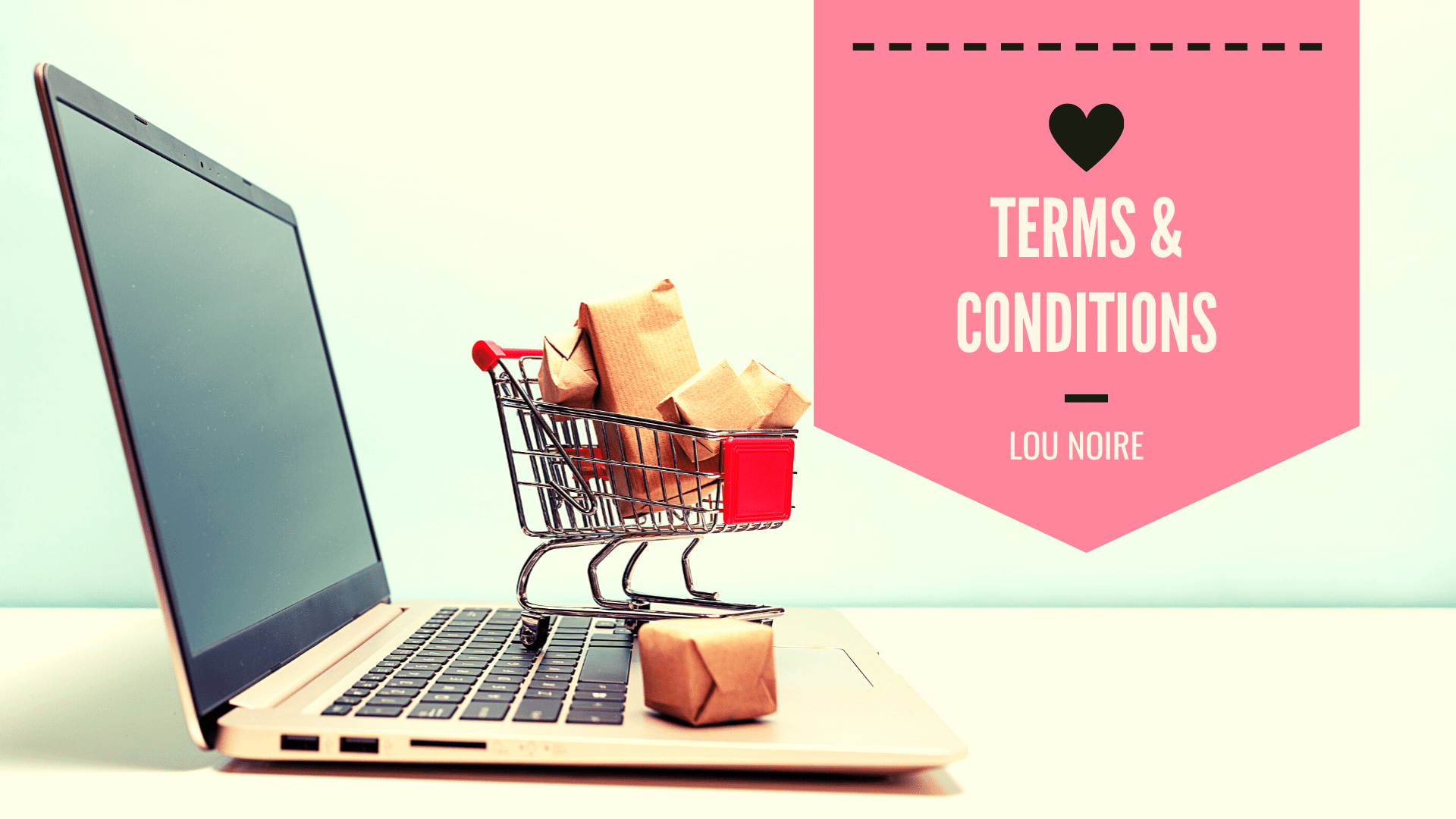 Terms and conditions - Lou Noire